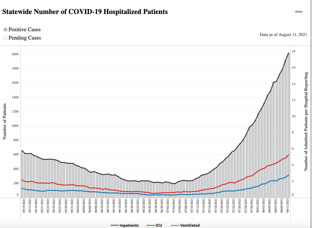 COVID Hospitalizations 8.12